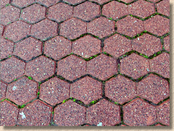double hexagon pavers
