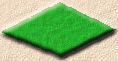 grass paving