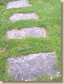 stepping stones in turf