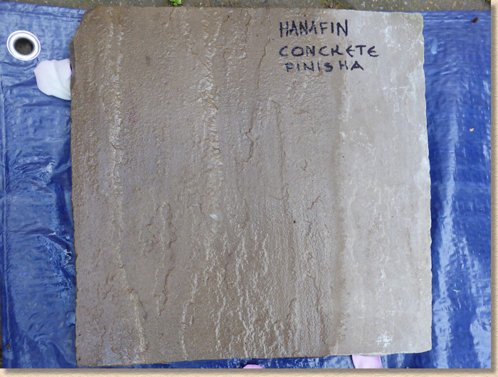 Hanafin Concrete Finisha