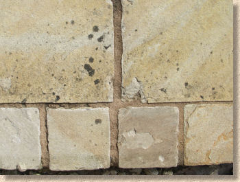 How to remove black spot from sandstone patios and pavers - Floorseal